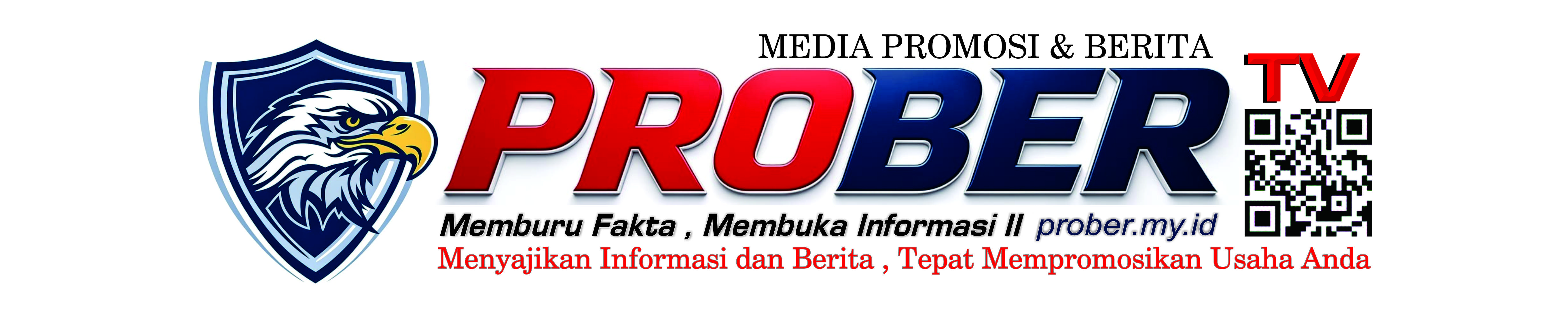 PROBER