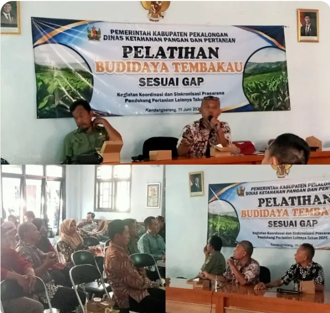 Pelatihan Budidaya Tembakau Sesuai GAP, Pemkab Pekalongan Perkuat Kapasitas Petani Hadapi Tantangan Pertanian Modern